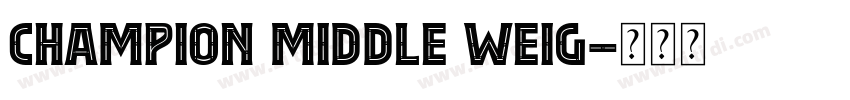 Champion Middle Weig字体转换